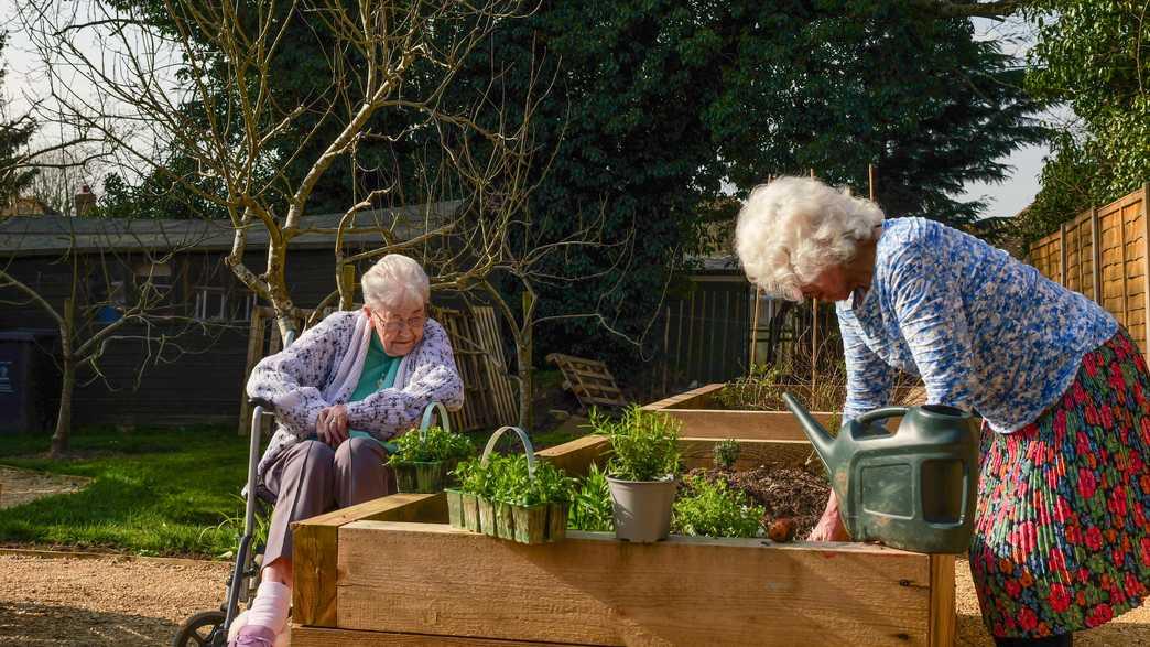 Gardening